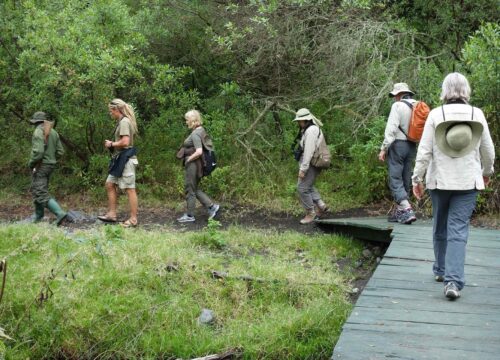 Arusha National Park Walking