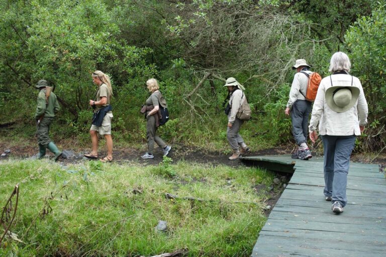 Arusha National Park Walking