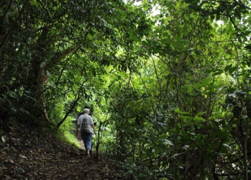 Lake Duluti Walking Tour