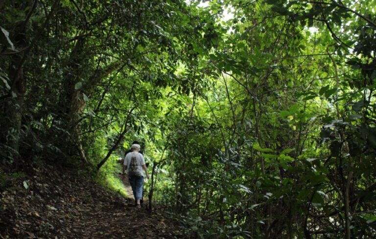 Lake Duluti Walking Tour