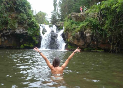 Marangu Waterfalls & Coffee Tour