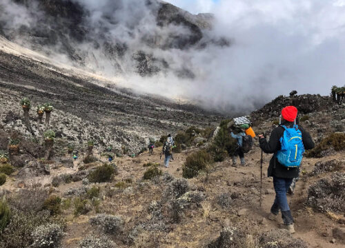 7 Days Kilimanjaro Trekking – Rongai Route