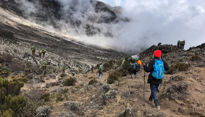 7 Days Kilimanjaro Trekking – Rongai Route