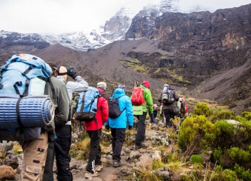 6 Days Kilimanjaro Trekking – Shira Route