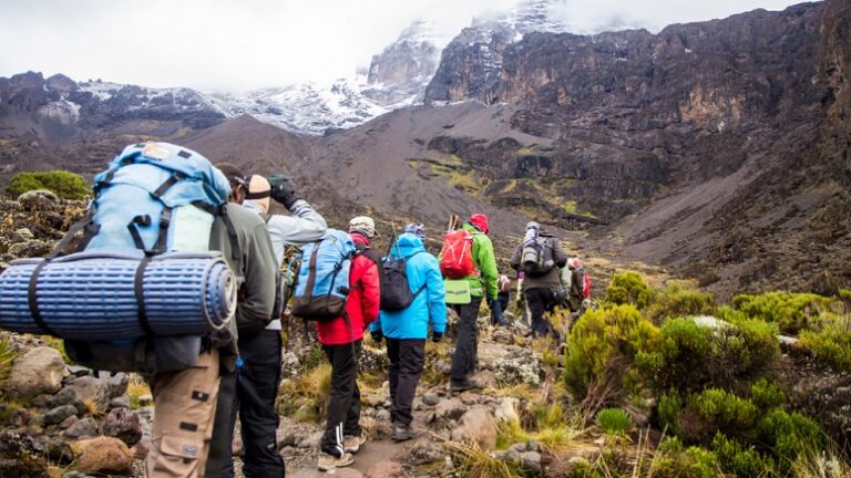 6 Days Kilimanjaro Trekking - Shira Route