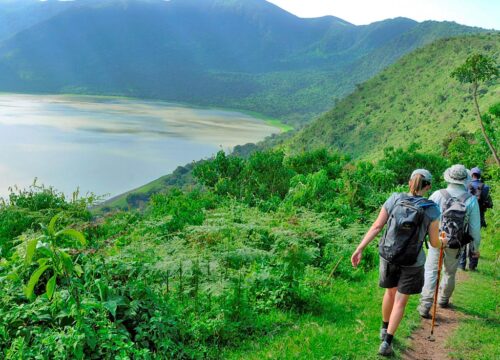 Ngorongoro Highlands Walking