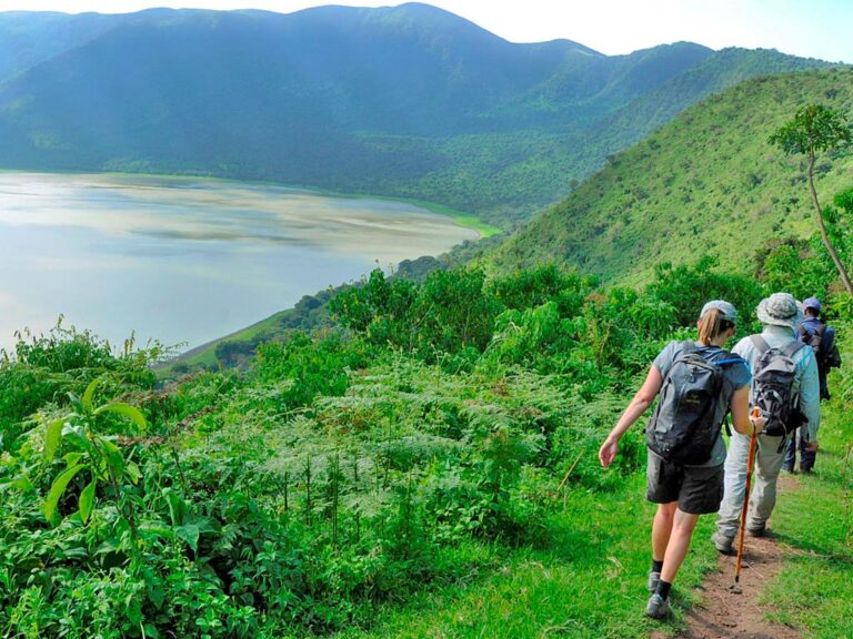 Ngorongoro Highlands Walking