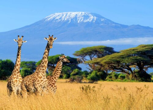 Mount Kilimanjaro