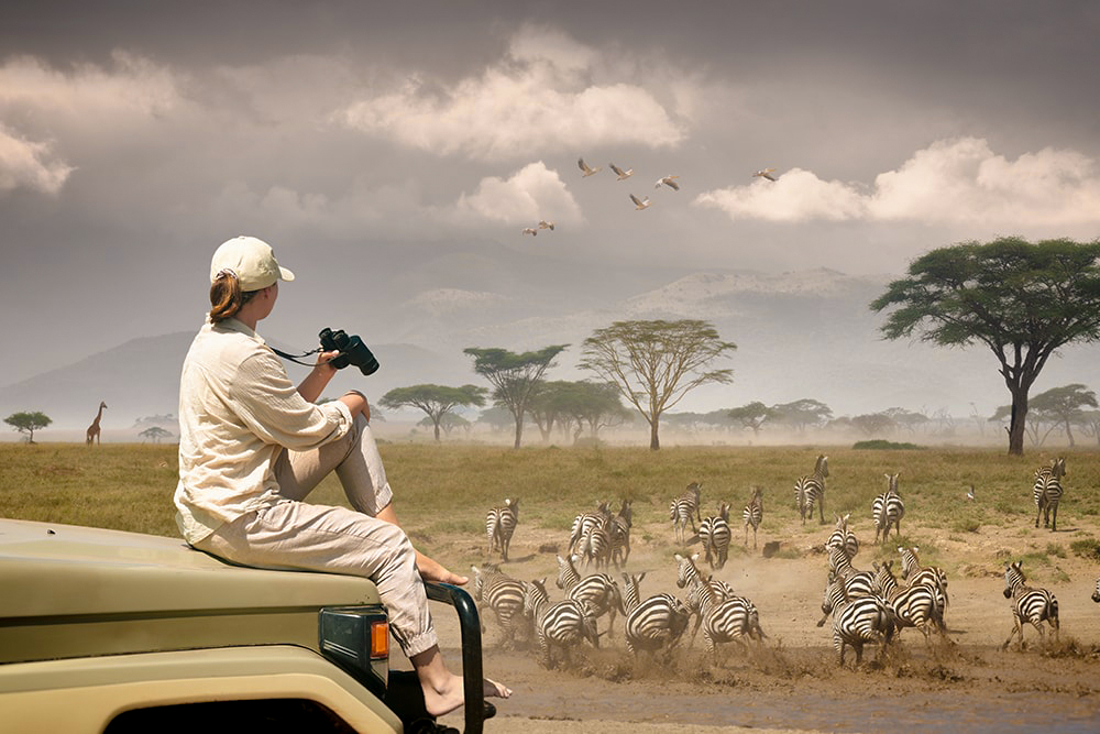 Serengeti